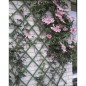 Nature Garten-Rankgitter 2 Stk. 100×200 cm PVC Grün Nature Garten-Rankgitter 2 Stk. 100×200 cm PVC Grün