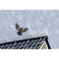 Nature Vogelabwehr-Spitzen 6 Stk. 32×11×18 cm Nature Vogelabwehr-Spitzen 6 Stk. 32×11×18 cm