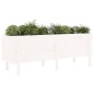 vidaXL Hochbeet Weiß 160x50x57 cm Massivholz Kiefer vidaXL Hochbeet Weiß 160x50x57 cm Massivholz Kiefer