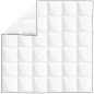 vidaXL Winter-Daunendecke 200x200 cm vidaXL Winter-Daunendecke 200x200 cm