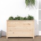 vidaXL Hochbeet 119,5x40x78 cm Massivholz Kiefer vidaXL Hochbeet 119,5x40x78 cm Massivholz Kiefer