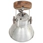 vidaXL Wand-/Deckenlampen Industriestil 2 Stk. Silbern 20x25 cm E27 vidaXL Wand-/Deckenlampen Industriestil 2 Stk. Silbern 20x25 cm E27