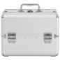 vidaXL Kosmetikkoffer 22x30x21 cm Silbern Aluminium vidaXL Kosmetikkoffer 22x30x21 cm Silbern Aluminium
