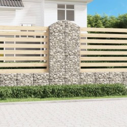 vidaXL Gabione mit Hochbogen 100x30x220/240 cm Verzinktes Eisen