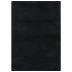 vidaXL Teppich Waschbar Flauschig Kurzflor 120x170 Rutschfest Schwarz