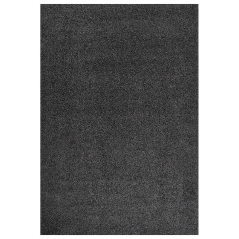 vidaXL Teppich Shaggy Hochflor Anthrazit 160x230 cm vidaXL Teppich Shaggy Hochflor Anthrazit 160x230 cm