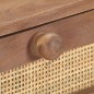 vidaXL Konsolentisch 100x35x76 cm Mango Massivholz vidaXL Konsolentisch 100x35x76 cm Mango Massivholz