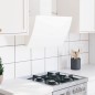 vidaXL Dunstabzugshaube 60 cm Stahl und Hartglas Weiß vidaXL Dunstabzugshaube 60 cm Stahl und Hartglas Weiß