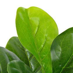 vidaXL Künstliche Pflanze Geigen-Feige mit Topf Grün 90 cm