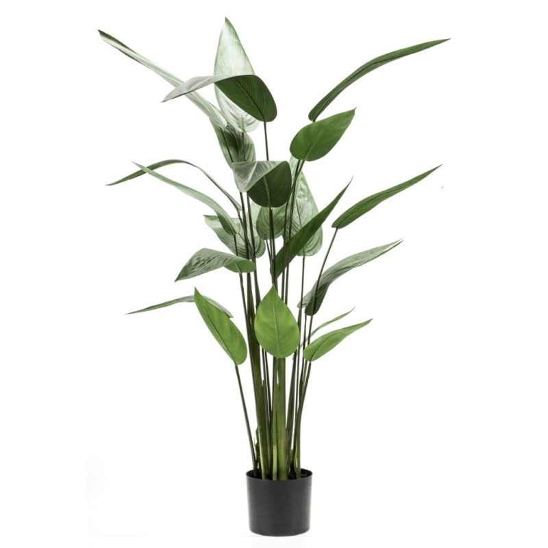 Emerald Kunstpflanze Helikonie Grün 125 cm 419837 Emerald Kunstpflanze Helikonie Grün 125 cm 419837