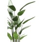 Emerald Kunstpflanze Helikonie Grün 125 cm 419837 Emerald Kunstpflanze Helikonie Grün 125 cm 419837
