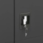 vidaXL Schließfachschrank Anthrazit 90x40x180 cm Stahl vidaXL Schließfachschrank Anthrazit 90x40x180 cm Stahl