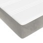 vidaXL Boxspringbett mit Matratze Hellgrau 160x200 cm Samt vidaXL Boxspringbett mit Matratze Hellgrau 160x200 cm Samt