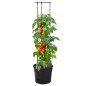 vidaXL Tomatentopf Anthrazit Ø29,5x115 cm Polypropylen vidaXL Tomatentopf Anthrazit Ø29,5x115 cm Polypropylen