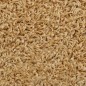 vidaXL Stufenmatten 10 Stk. 65x25 cm Creme vidaXL Stufenmatten 10 Stk. 65x25 cm Creme