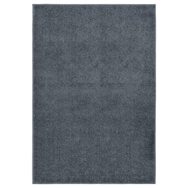 vidaXL Teppich Kurzflor 200x290 cm Anthrazit vidaXL Teppich Kurzflor 200x290 cm Anthrazit