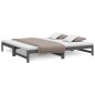 vidaXL Tagesbett Ausziehbar Grau 2x(80x200) cm Massivholz Kiefer vidaXL Tagesbett Ausziehbar Grau 2x(80x200) cm Massivholz Kiefer