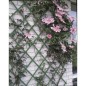 Nature Garten-Rankgitter 100x200 cm PVC Grün 6040704 Nature Garten-Rankgitter 100x200 cm PVC Grün 6040704