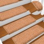vidaXL Stufenmatten 10 Stk. 65x21x4 cm Braun vidaXL Stufenmatten 10 Stk. 65x21x4 cm Braun