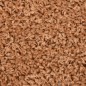 vidaXL Stufenmatten 10 Stk. 65x21x4 cm Braun vidaXL Stufenmatten 10 Stk. 65x21x4 cm Braun