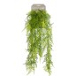 Emerald Künstlicher Feder-Spargel Asparagus Plumosus 80 cm Emerald Künstlicher Feder-Spargel Asparagus Plumosus 80 cm