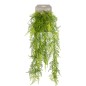 Emerald Künstlicher Feder-Spargel Asparagus Plumosus 80 cm Emerald Künstlicher Feder-Spargel Asparagus Plumosus 80 cm