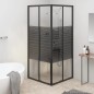 vidaXL Duschkabine mit Streifen ESG 80x80x180 cm Schwarz vidaXL Duschkabine mit Streifen ESG 80x80x180 cm Schwarz
