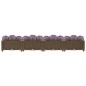 vidaXL Hochbeet 160x40x23 cm Polypropylen vidaXL Hochbeet 160x40x23 cm Polypropylen