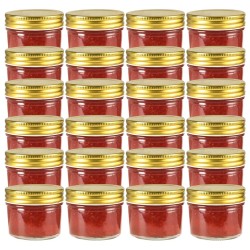vidaXL Marmeladengläser mit goldenen Deckeln 24 Stk. 110 ml