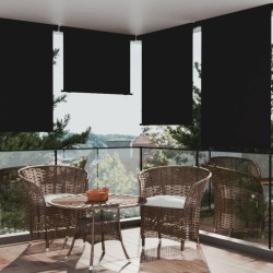 vidaXL Balkon-Seitenmarkise 122x250 cm Schwarz