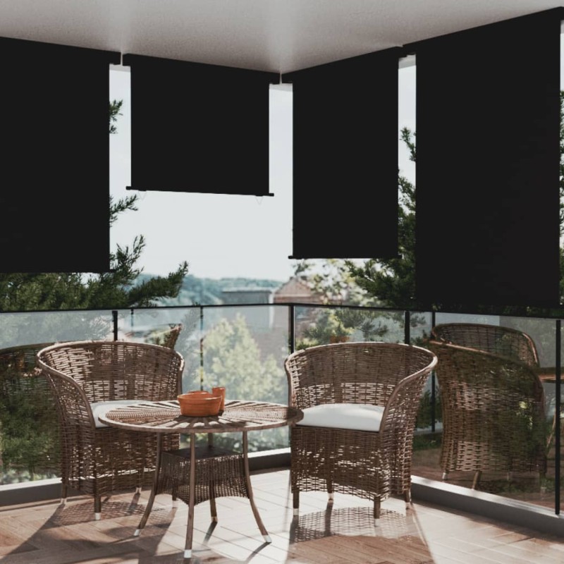 vidaXL Balkon-Seitenmarkise 122x250 cm Schwarz
