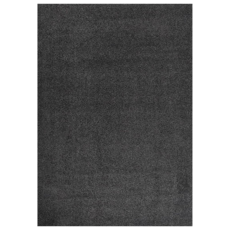 vidaXL Teppich Shaggy Hochflor Anthrazit 140x200 cm vidaXL Teppich Shaggy Hochflor Anthrazit 140x200 cm