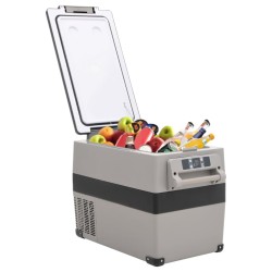 vidaXL Kühlbox mit Tragegriff Grau 45L PP & PE