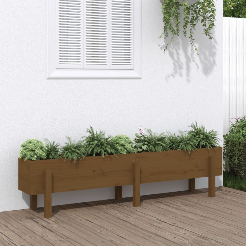 vidaXL Hochbeet Honigbraun 160x30x38 cm Massivholz Kiefer vidaXL Hochbeet Honigbraun 160x30x38 cm Massivholz Kiefer