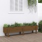 vidaXL Hochbeet Honigbraun 160x30x38 cm Massivholz Kiefer vidaXL Hochbeet Honigbraun 160x30x38 cm Massivholz Kiefer