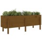 vidaXL Hochbeet Honigbraun 160x50x57 cm Massivholz Kiefer vidaXL Hochbeet Honigbraun 160x50x57 cm Massivholz Kiefer