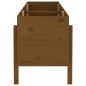 vidaXL Hochbeet Honigbraun 160x50x57 cm Massivholz Kiefer vidaXL Hochbeet Honigbraun 160x50x57 cm Massivholz Kiefer