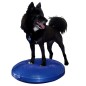 FitPAWS Balance-Scheibe für Haustiere 56 cm Blau FitPAWS Balance-Scheibe für Haustiere 56 cm Blau