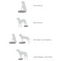 FitPAWS Balance-Scheibe für Haustiere 56 cm Blau FitPAWS Balance-Scheibe für Haustiere 56 cm Blau