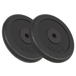 vidaXL Hantelscheiben 2 Stk. 2x20 kg Gusseisen