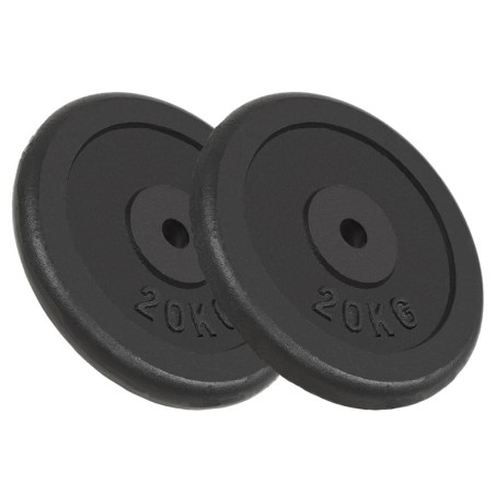 vidaXL Hantelscheiben 2 Stk. 2x20 kg Gusseisen