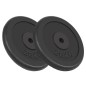 vidaXL Hantelscheiben 2 Stk. 2x20 kg Gusseisen vidaXL Hantelscheiben 2 Stk. 2x20 kg Gusseisen