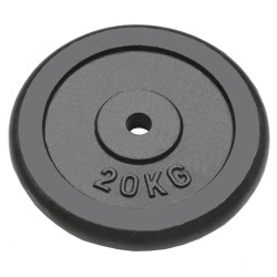 vidaXL Hantelscheiben 2 Stk. 2x20 kg Gusseisen