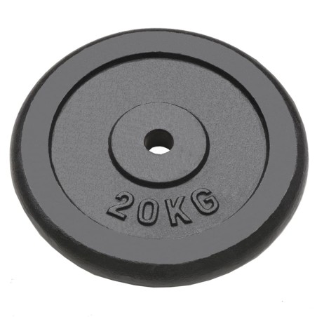 vidaXL Hantelscheiben 2 Stk. 2x20 kg Gusseisen