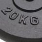 vidaXL Hantelscheiben 2 Stk. 2x20 kg Gusseisen vidaXL Hantelscheiben 2 Stk. 2x20 kg Gusseisen