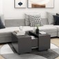 vidaXL Couchtisch Grau 60x60x38 cm Holzwerkstoff vidaXL Couchtisch Grau 60x60x38 cm Holzwerkstoff