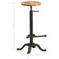 vidaXL Barhocker 2 Stk. Mango Massivholz vidaXL Barhocker 2 Stk. Mango Massivholz