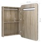 vidaXL LED-Bad-Spiegelschrank Eichen-Optik 60x11x80 cm vidaXL LED-Bad-Spiegelschrank Eichen-Optik 60x11x80 cm