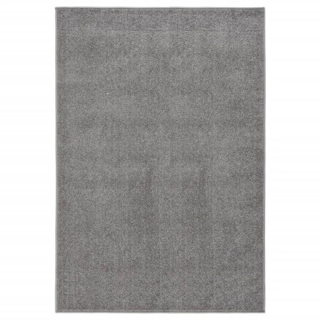 vidaXL Teppich Kurzflor 200x290 cm Grau