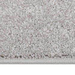 vidaXL Teppich Kurzflor 240x340 cm Hellgrau